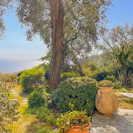 L'Uliveto Di Santa Con Piscina Βίλα Σάντα Μαργκερίτα Λιγκούρε Εξωτερικό φωτογραφία