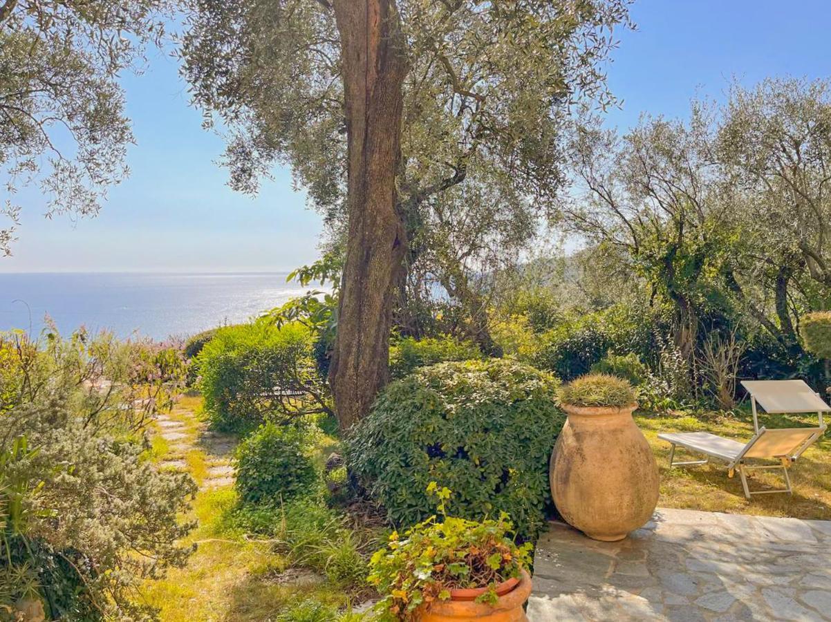L'Uliveto Di Santa Con Piscina Βίλα Σάντα Μαργκερίτα Λιγκούρε Εξωτερικό φωτογραφία